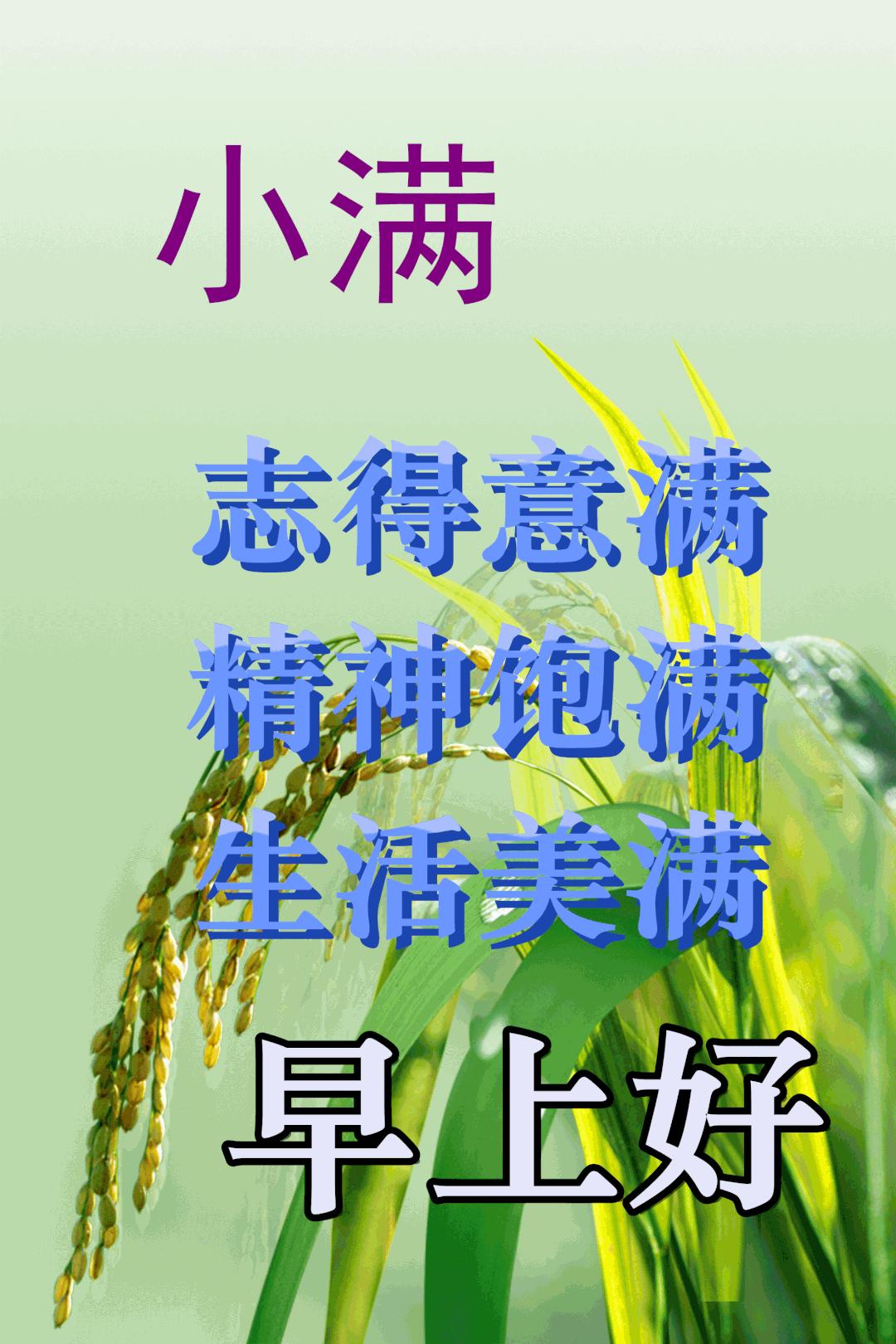 满面财气最有钱 东拼西错一堆数打一准确生肖的警惕虚假宣传-定量解答解释落实