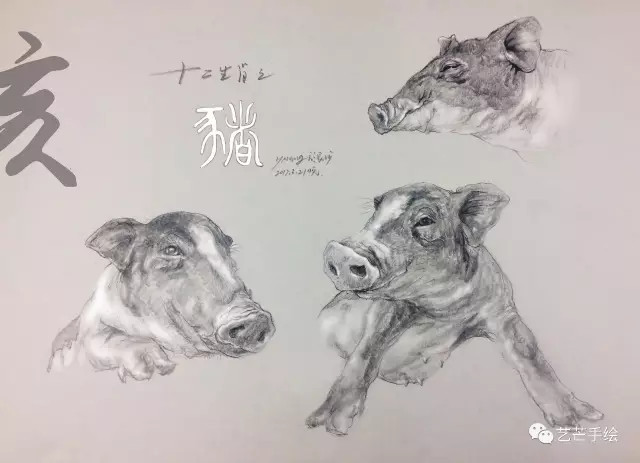今期生肖封宝剑，一笔一划学写生打一准确生肖的警惕虚假宣传-全面释义、解释与落实、深度解答解释落实