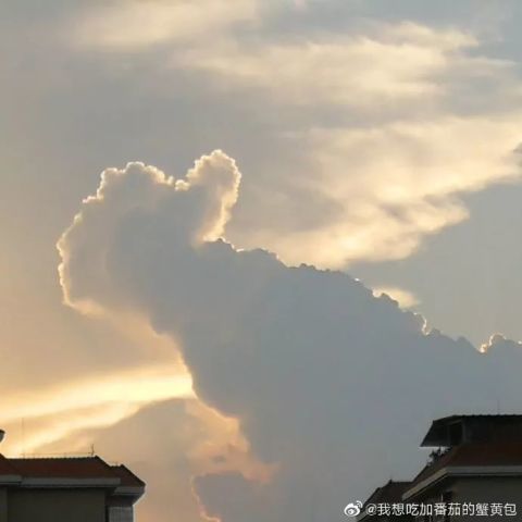 与云吐勿世间稀,一山更比一山高是什么生肖请全面2释义、解释与落实、构建解答解释落实