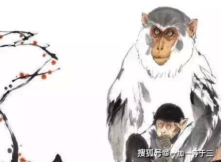 一丝不苟，好名多磨，心猿意马何中叹打一准确生肖全面释义、构建解答解释落实